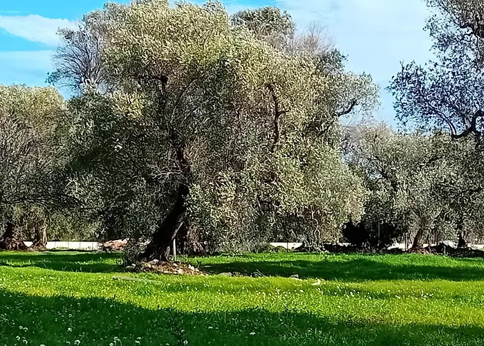 Trulli Chirulli Ceglie Messapica